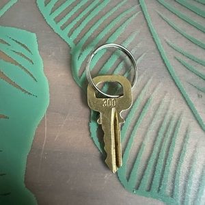 Louis Vuitton Key #300